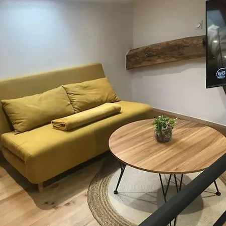 Apartment Le Nid De Bois - Centre -thermes-center Parc