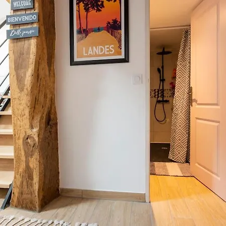 Apartment Le Nid De Bois - Centre -thermes-center Parc Casteljaloux