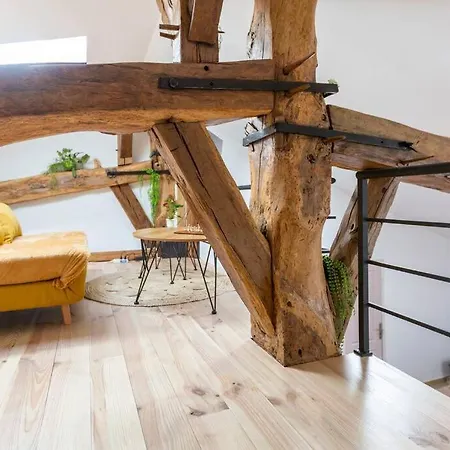 Le Nid De Bois - Centre -thermes-center Parc Apartment *